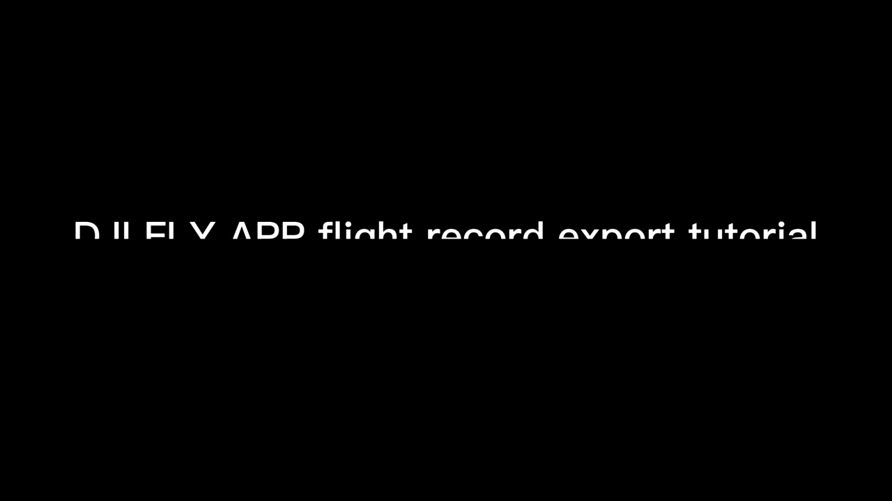 Dji flight records best sale online